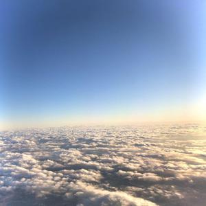 一级特黄毛片乱伦
