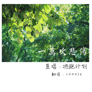 一级特黄毛片乱伦
