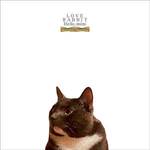 一级特黄毛片乱伦
